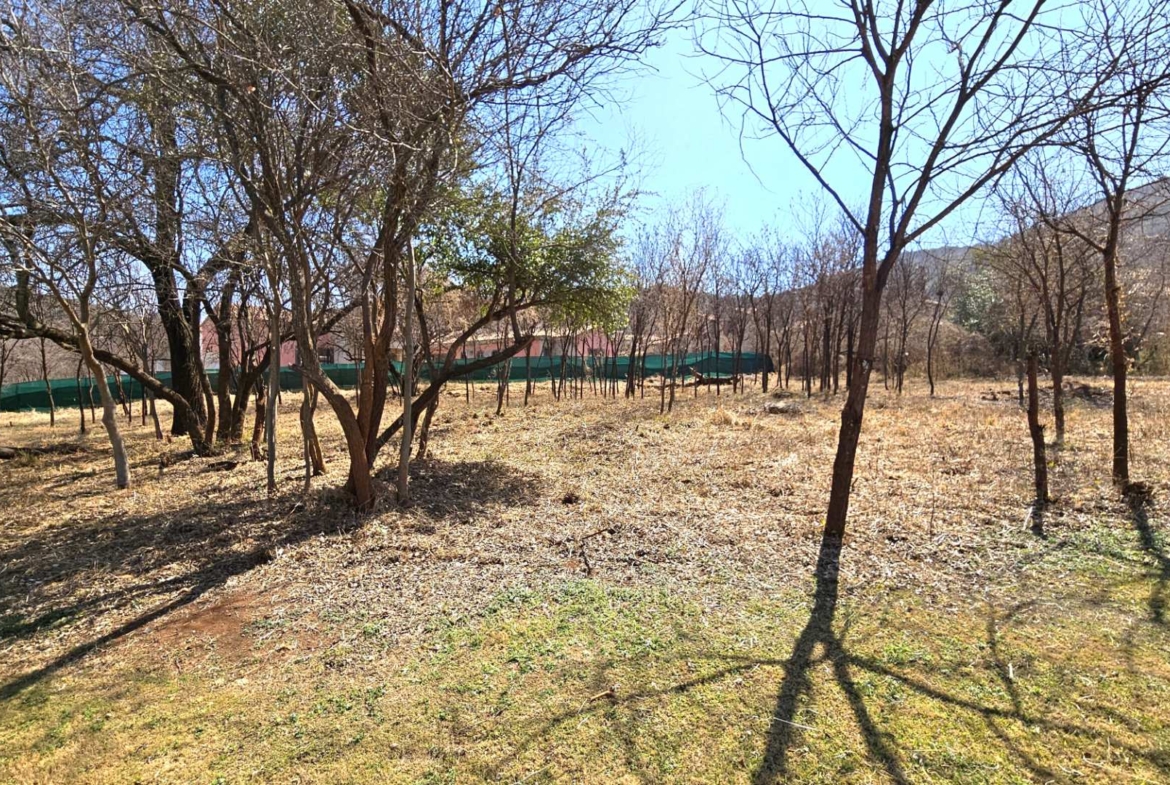 Vacant Stand in Estate d Afrique