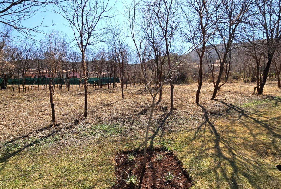 Vacant Stand in Estate d Afrique