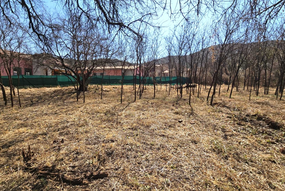 Vacant Stand in Estate d Afrique