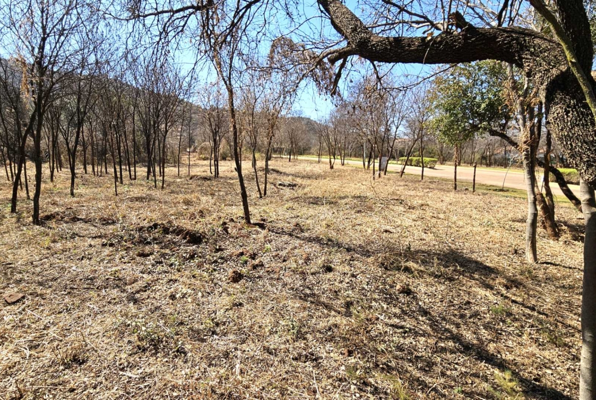 Vacant Stand in Estate d Afrique