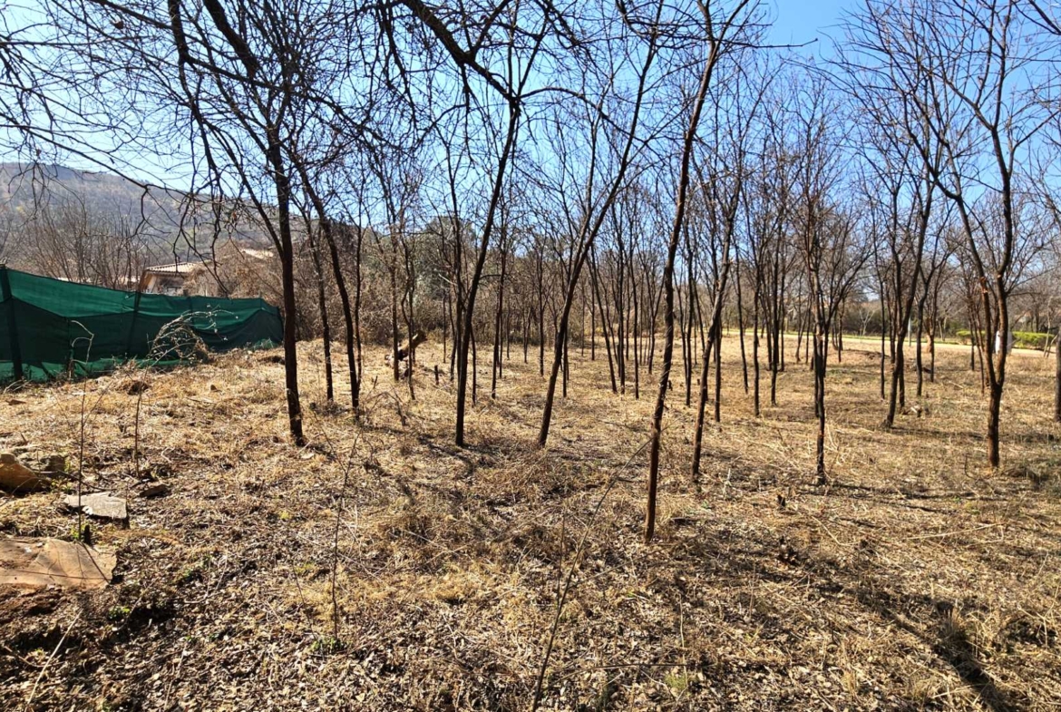 Vacant Stand in Estate d Afrique