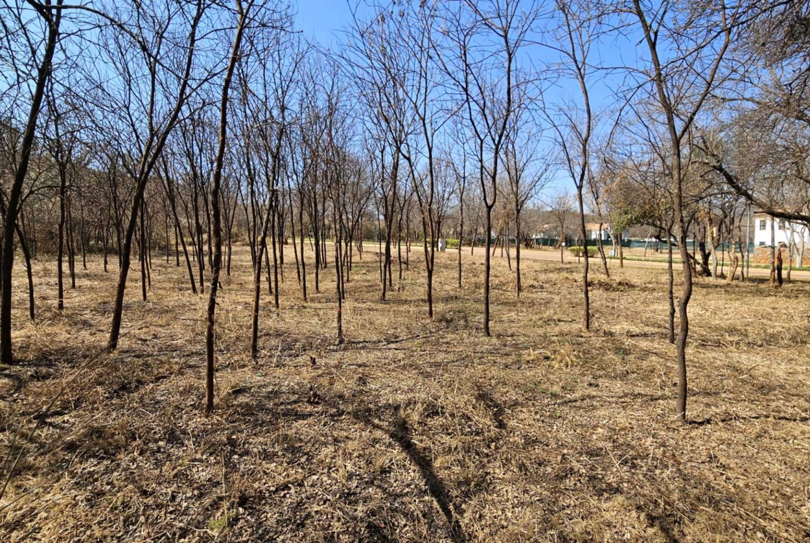 Vacant Stand in Estate d Afrique