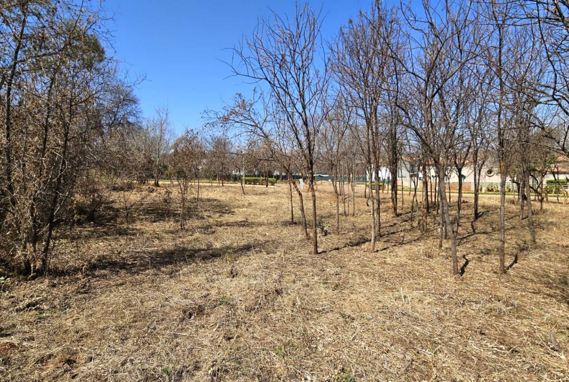 Vacant Stand in Estate d Afrique