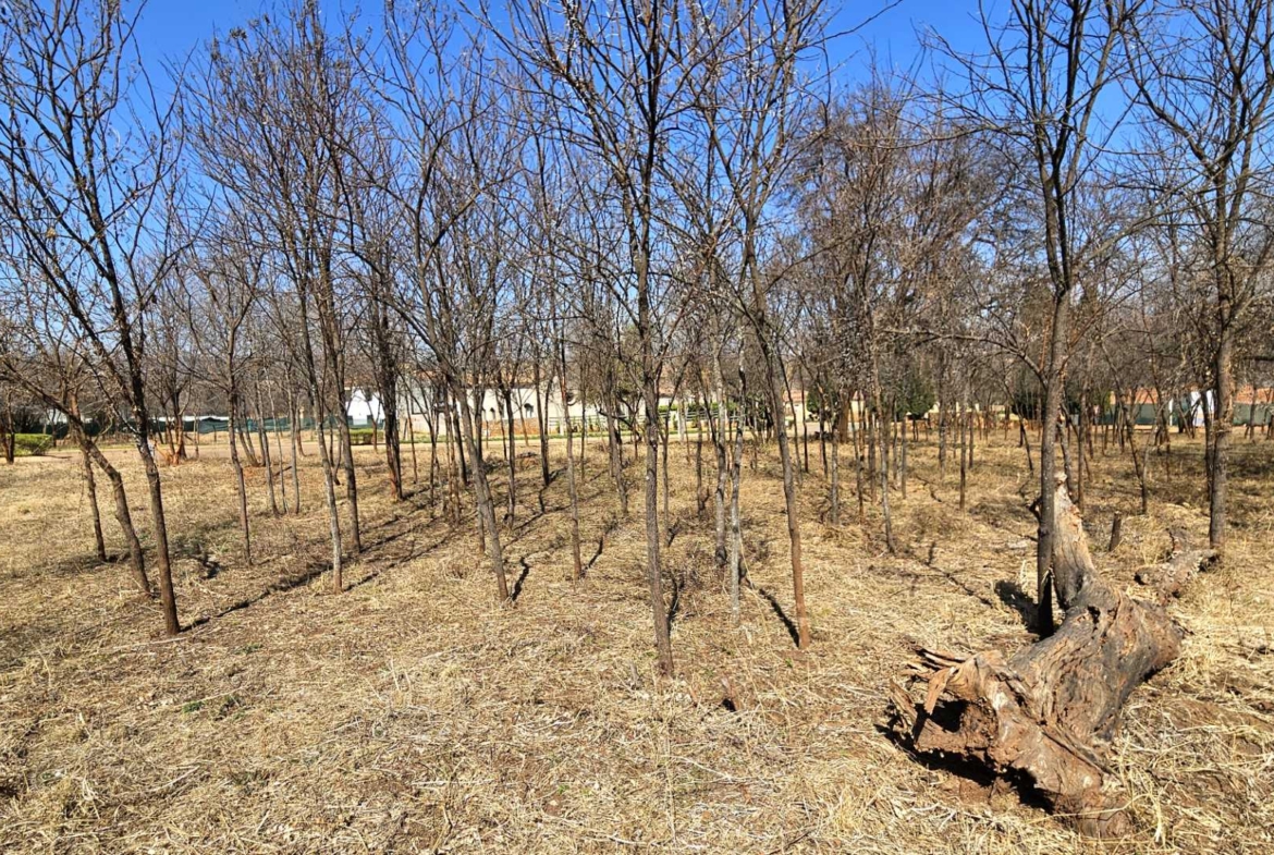 Vacant Stand in Estate d Afrique