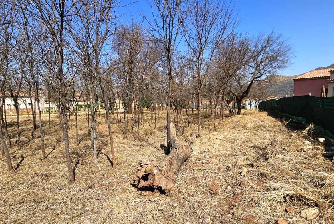 Vacant Stand in Estate d Afrique