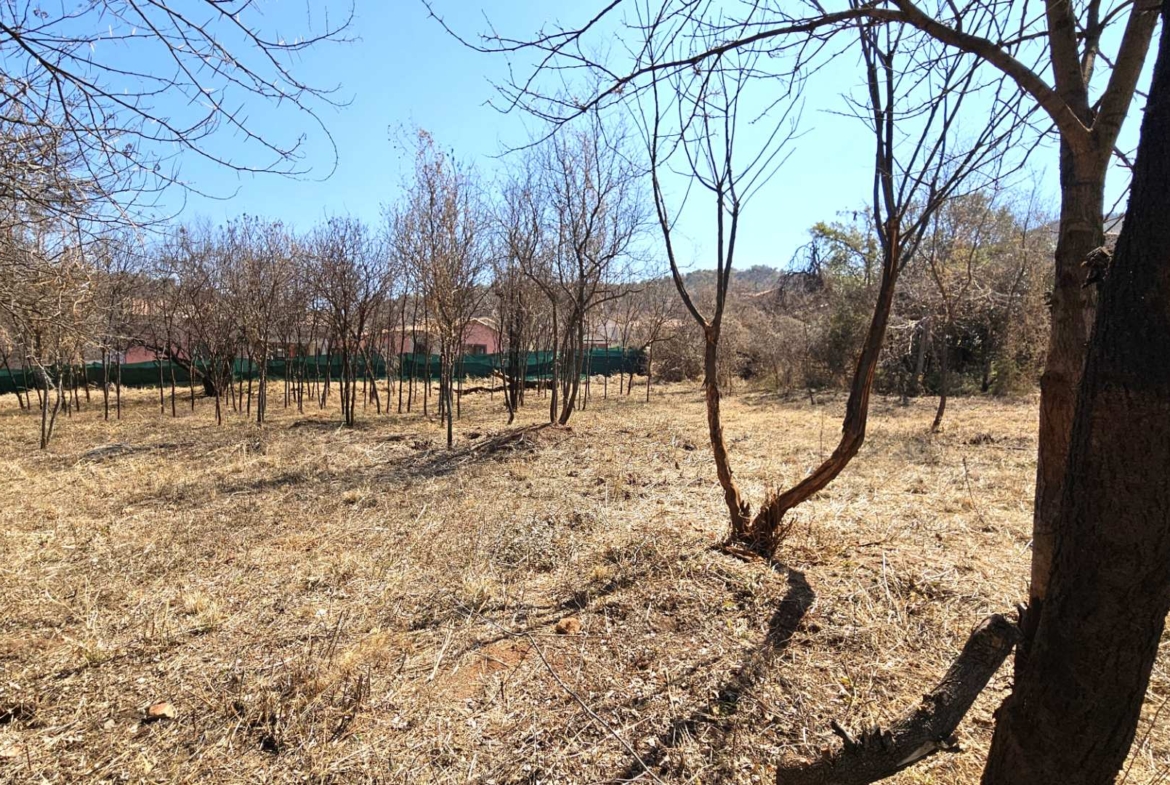 Vacant Stand in Estate d Afrique