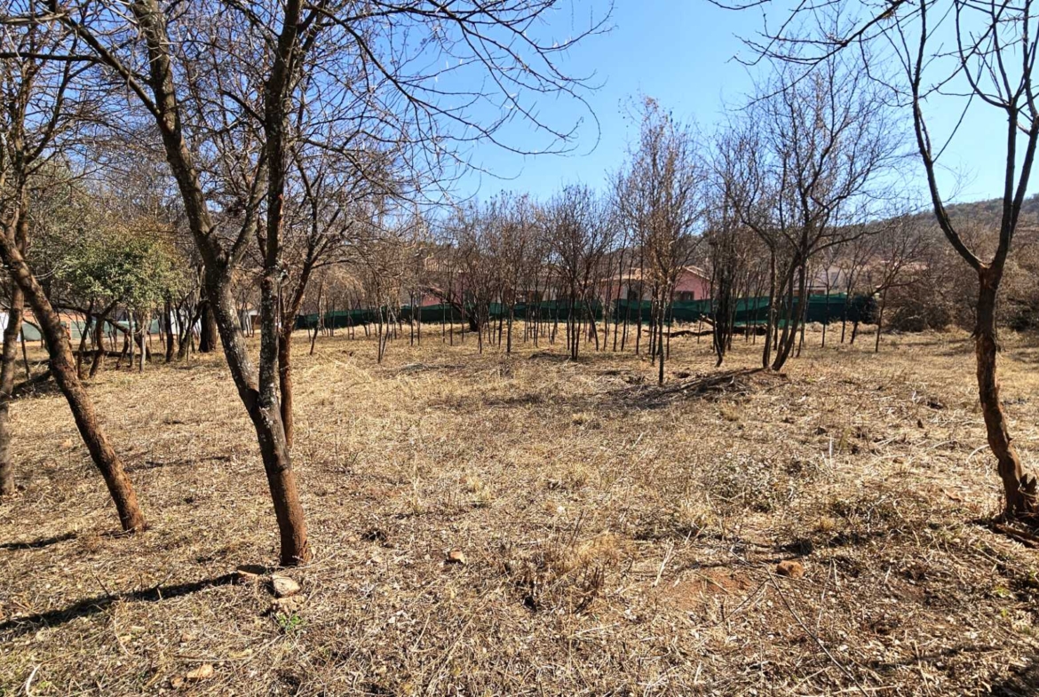 Vacant Stand in Estate d Afrique