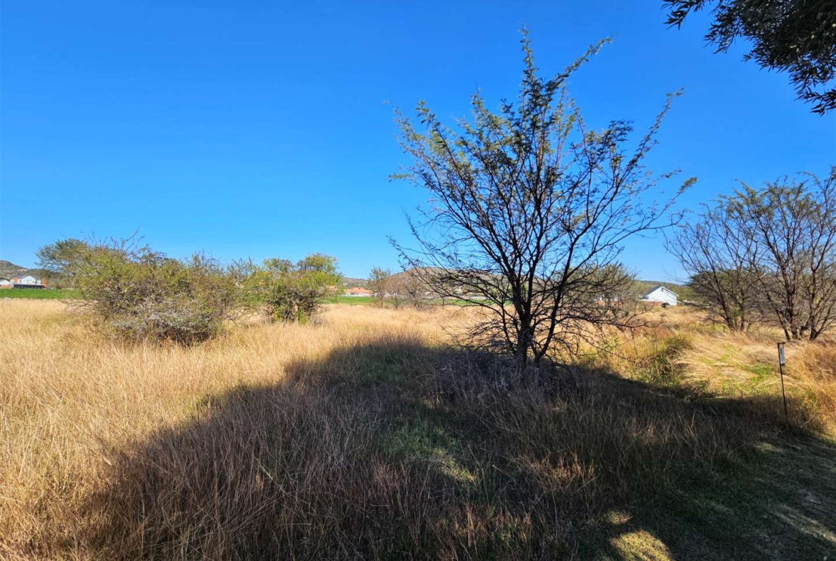 800sqm Vacant Stand In Landsmeer Equestrian Estate