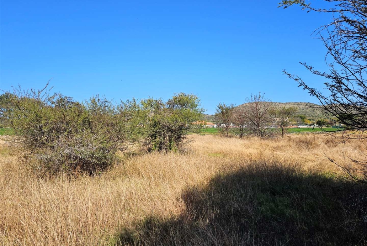 800sqm Vacant Stand In Landsmeer Equestrian Estate