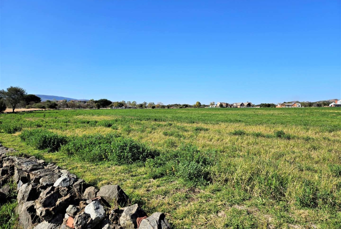800sqm Vacant Stand In Landsmeer Equestrian Estate
