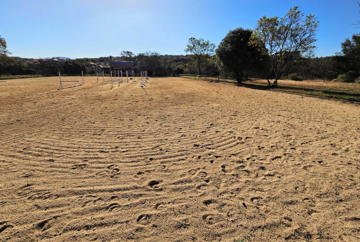 800sqm Vacant Stand In Landsmeer Equestrian Estate