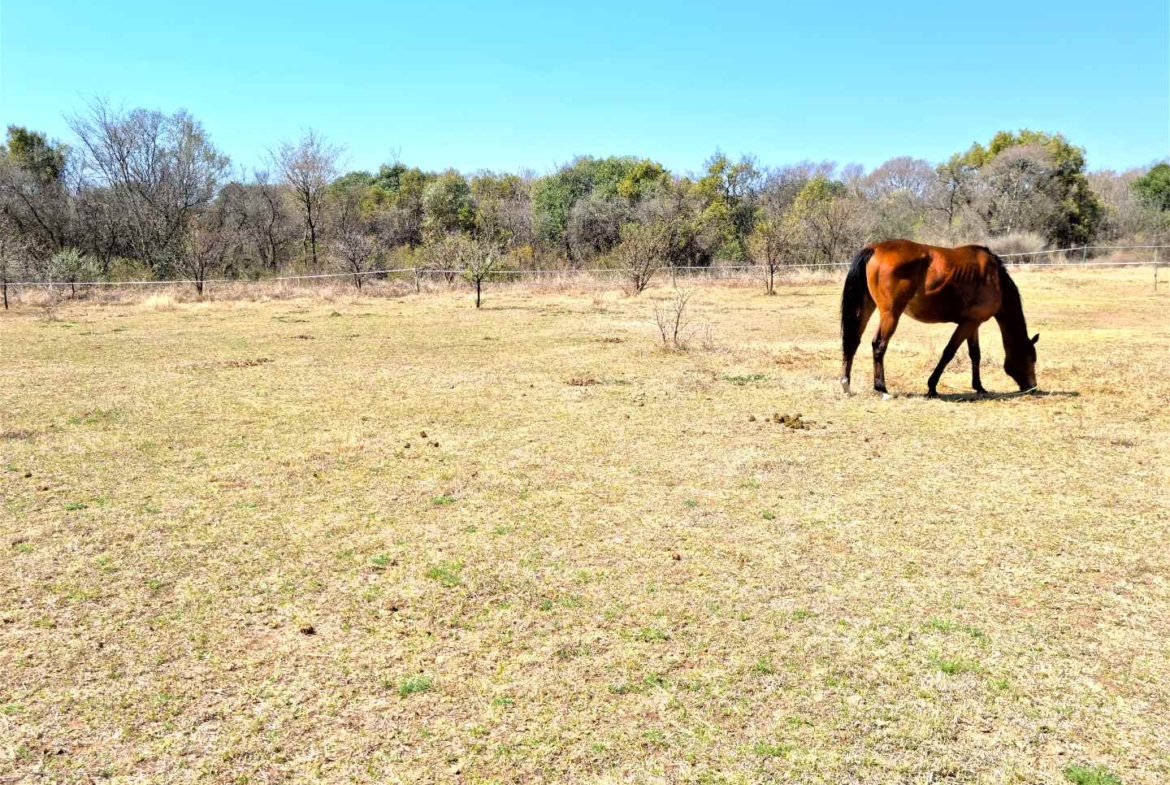 1023sqm Vacant Stand in Popular Landsmeer Equestrian Estate Hartbeespoort
