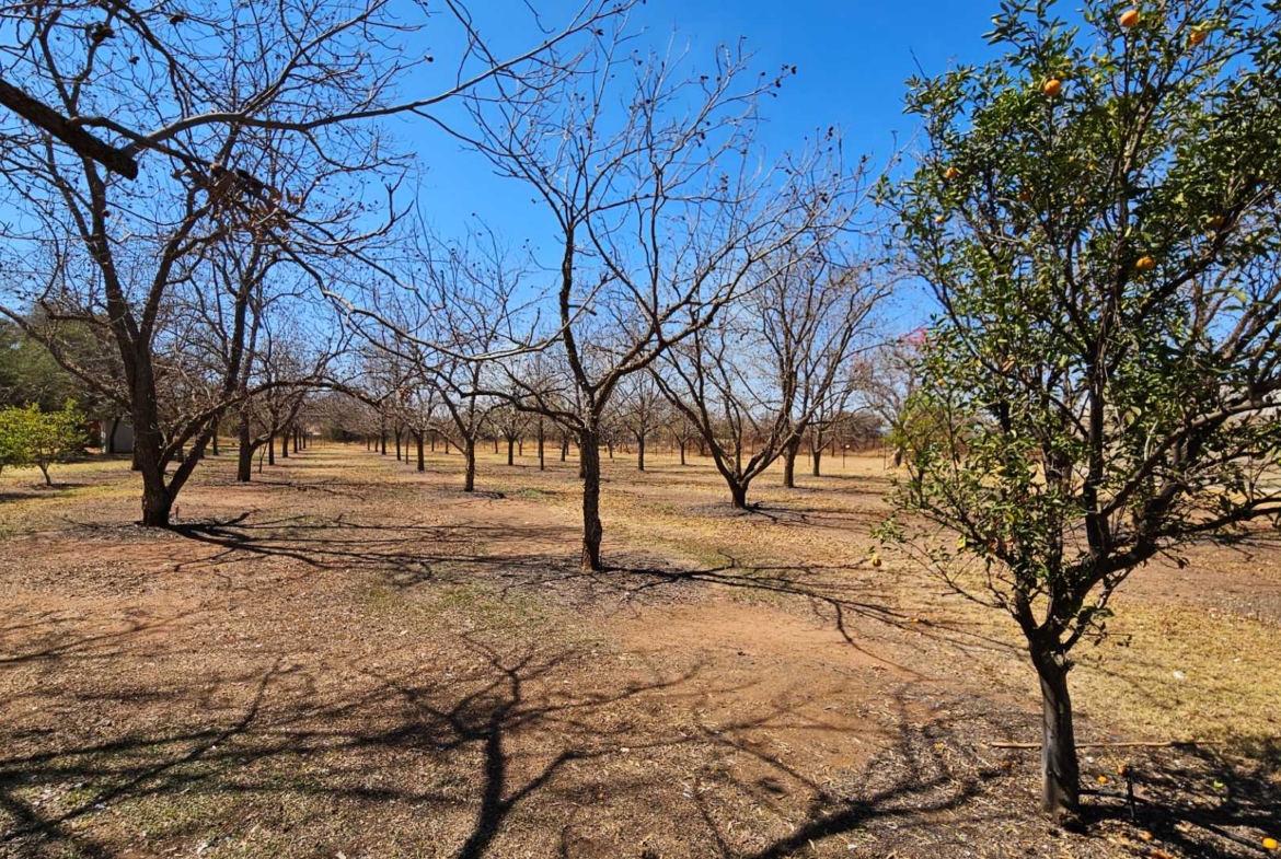 Farm Mamogalieskraal AH Near Brits Airfield