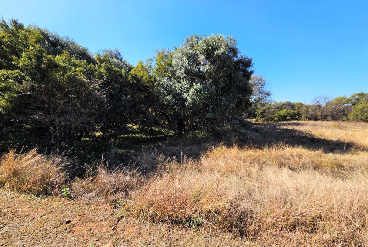 11765m2 Vacant Land in K’Shane