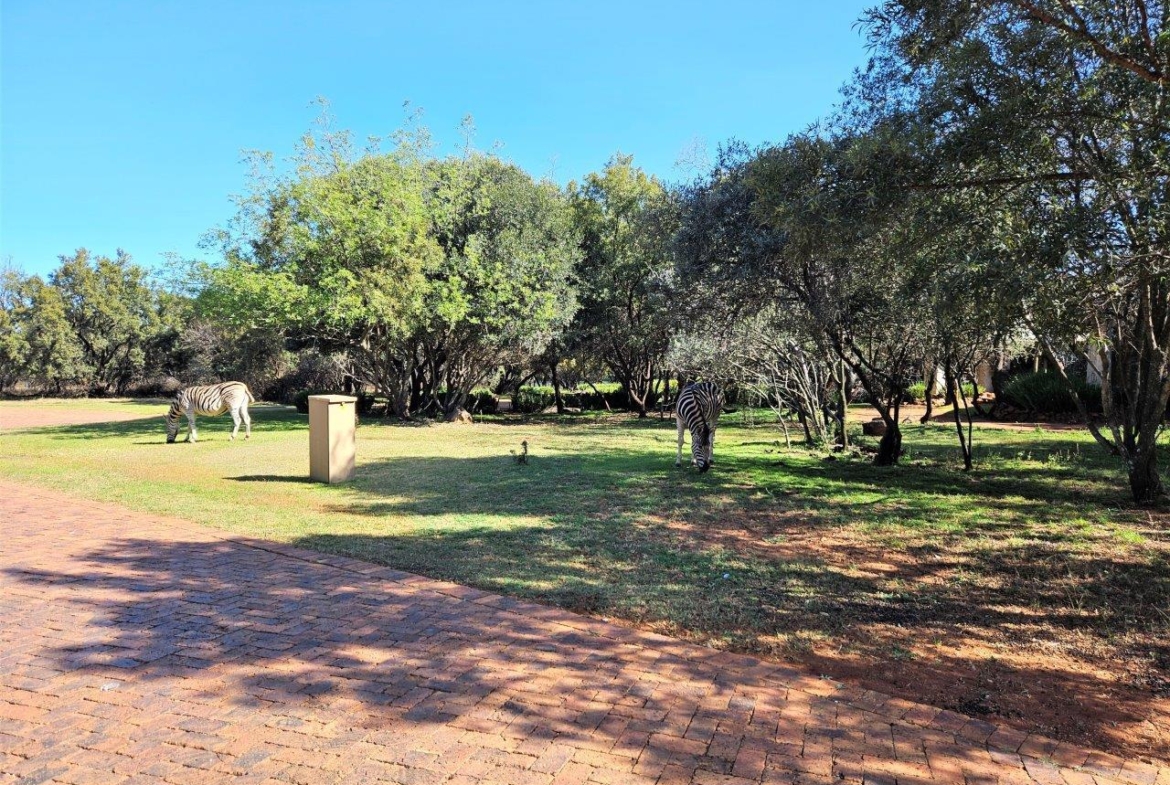 11765m2 Vacant Land in K’Shane