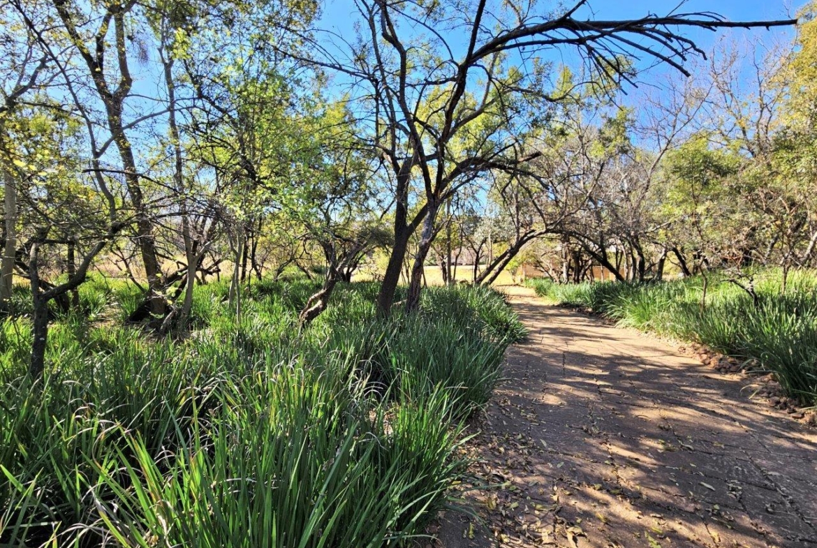 8300m2 Vacant Land in K’Shane, Kosmos