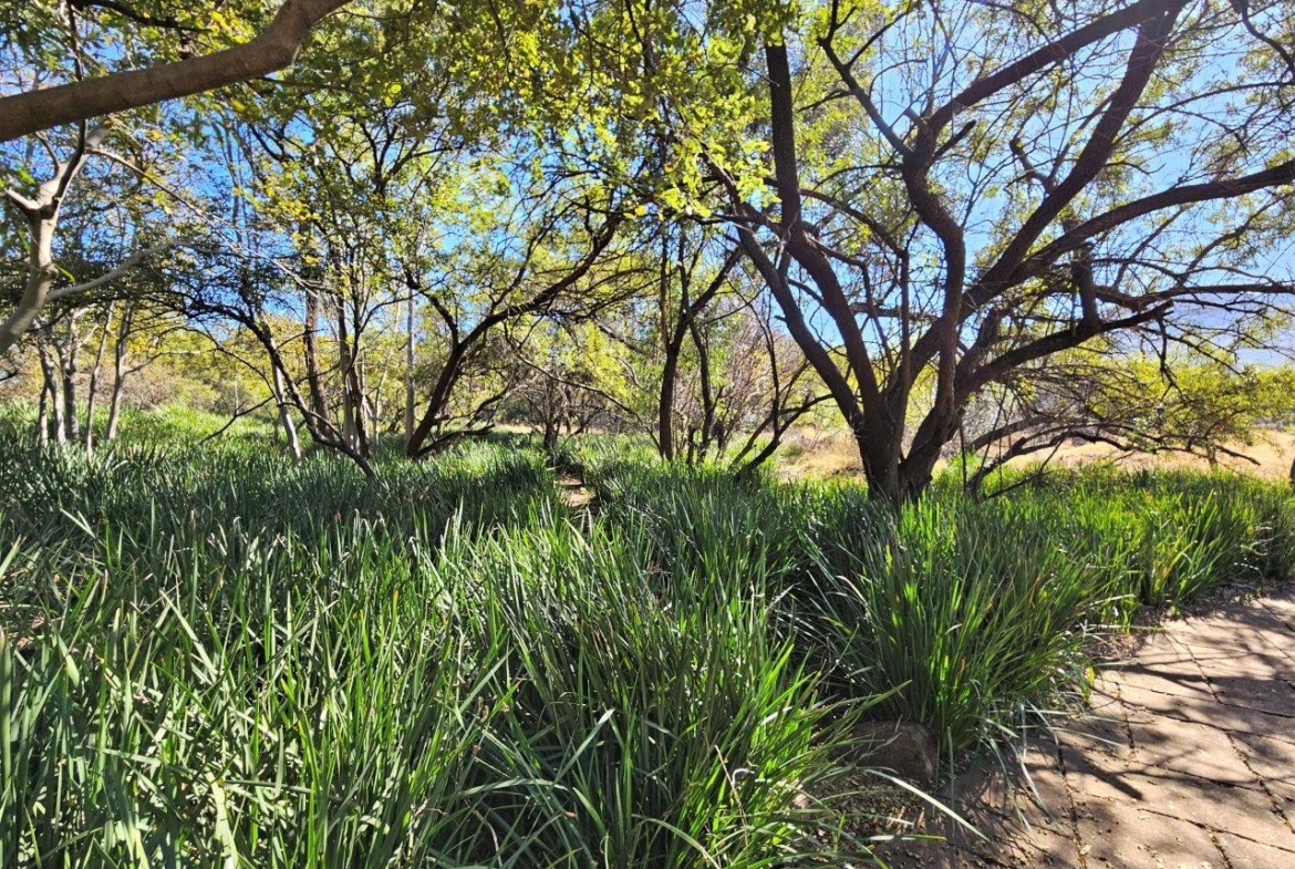 8300m2 Vacant Land in K’Shane, Kosmos