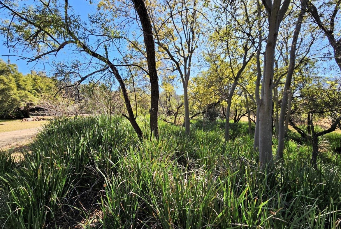 8300m2 Vacant Land in K’Shane, Kosmos