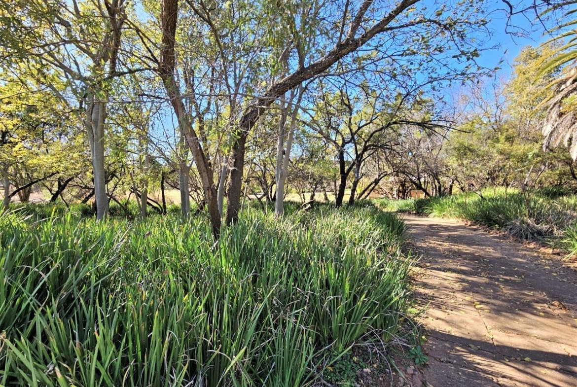 8300m2 Vacant Land in K’Shane, Kosmos