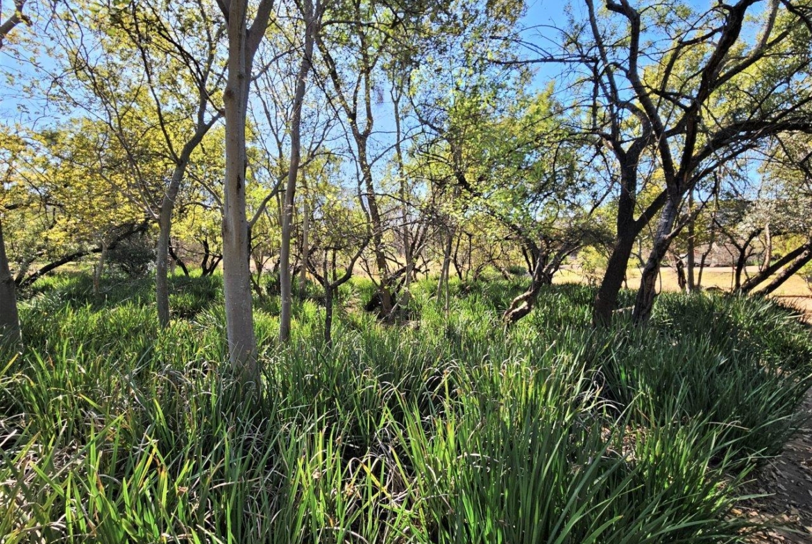8300m2 Vacant Land in K’Shane, Kosmos