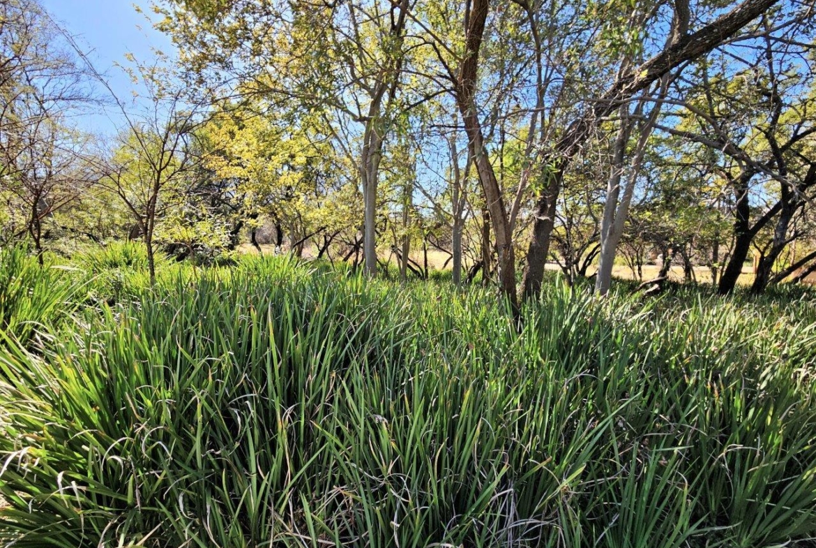 8300m2 Vacant Land in K’Shane, Kosmos