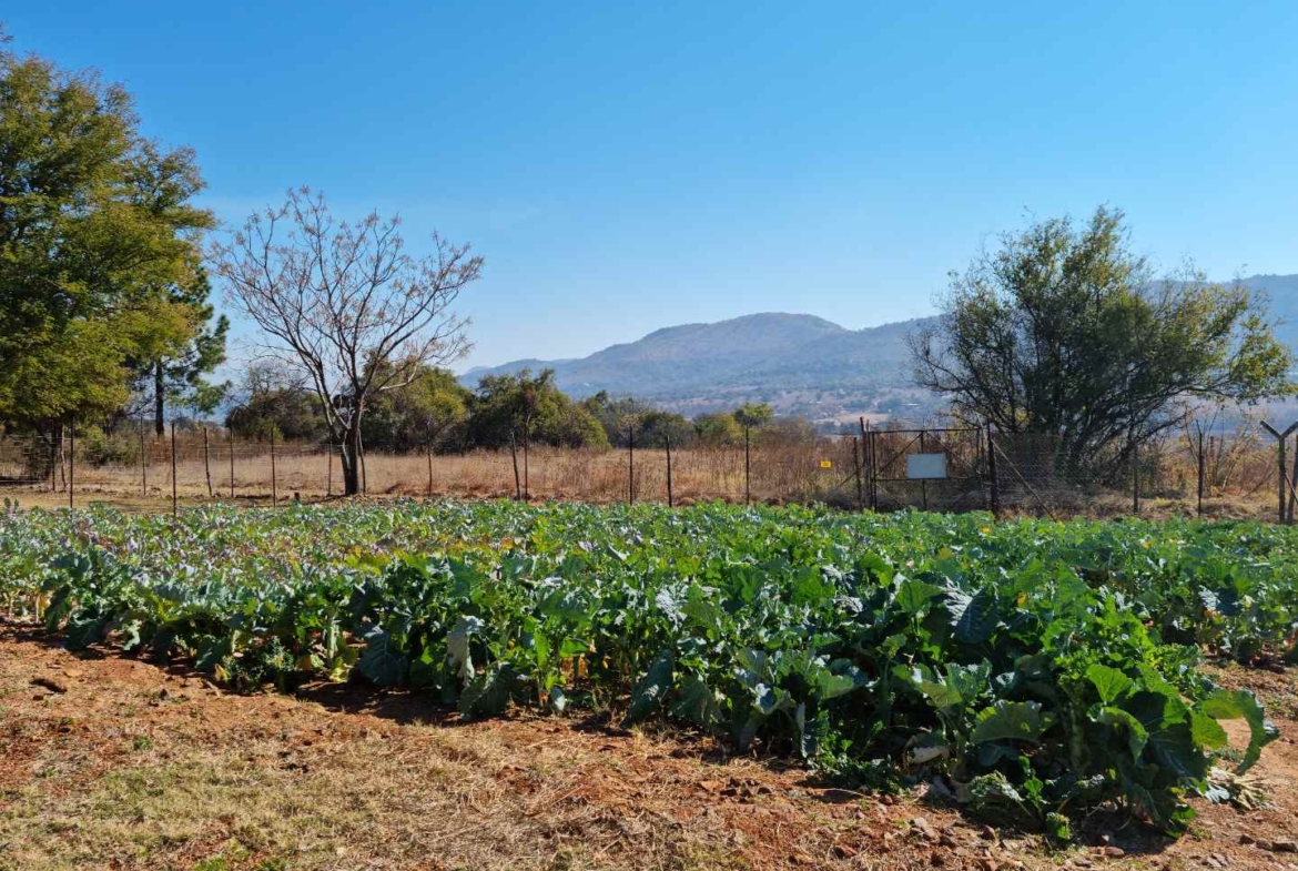 42.8266 ha farm in Hartbeespoort dam