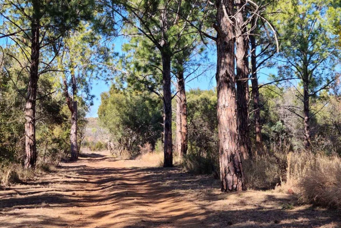 42.8266 ha farm in Hartbeespoort dam