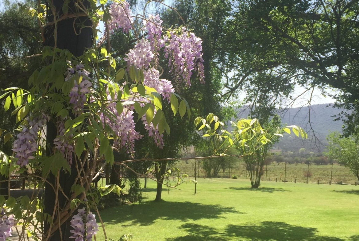 42.8266 ha farm in Hartbeespoort dam