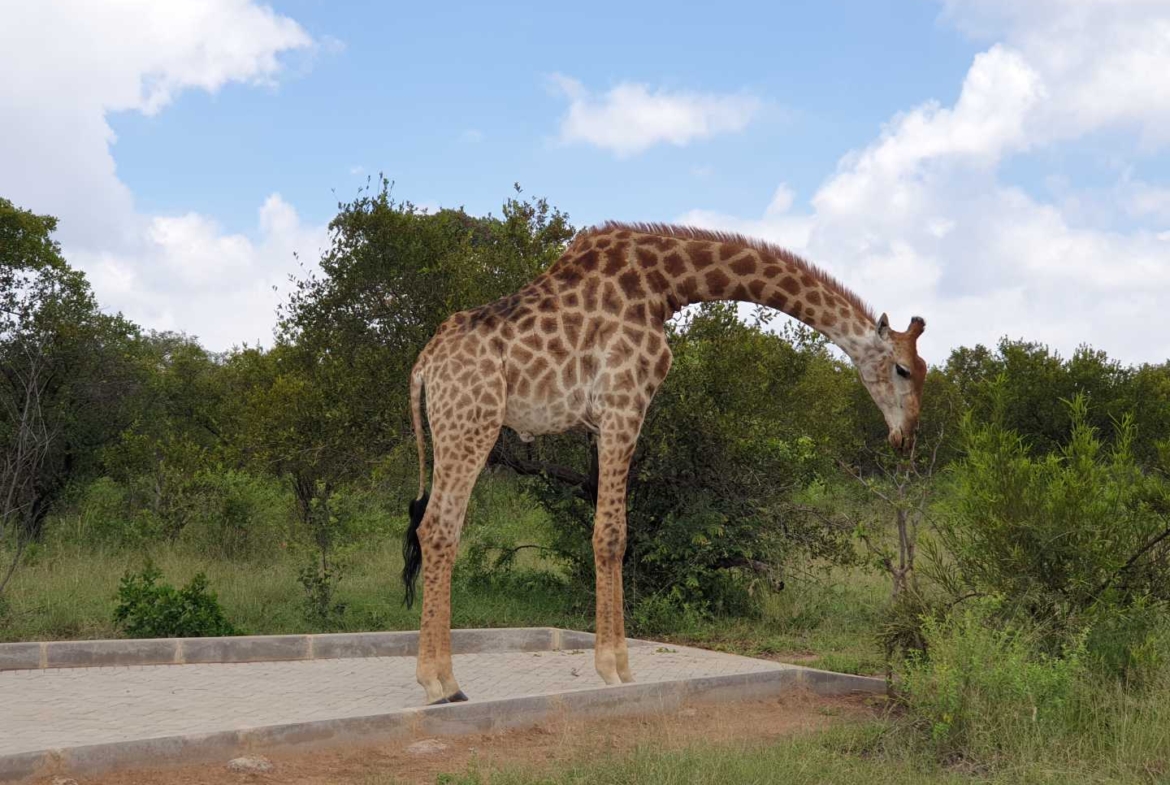 Sterling Bush Lodge