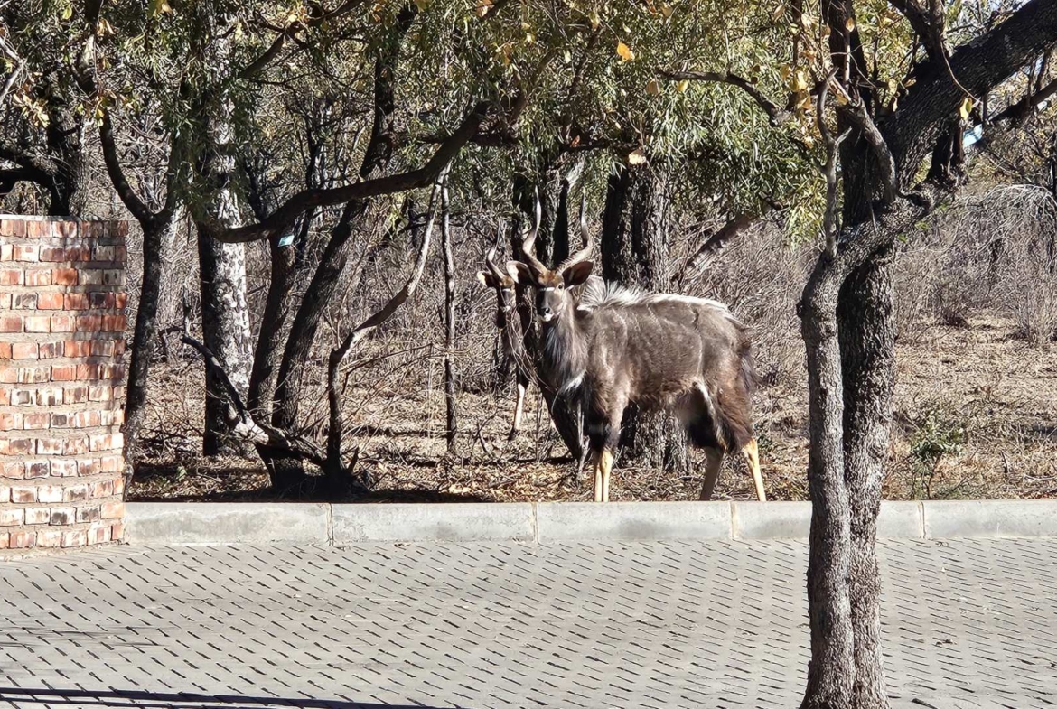 Sterling Bush Lodge