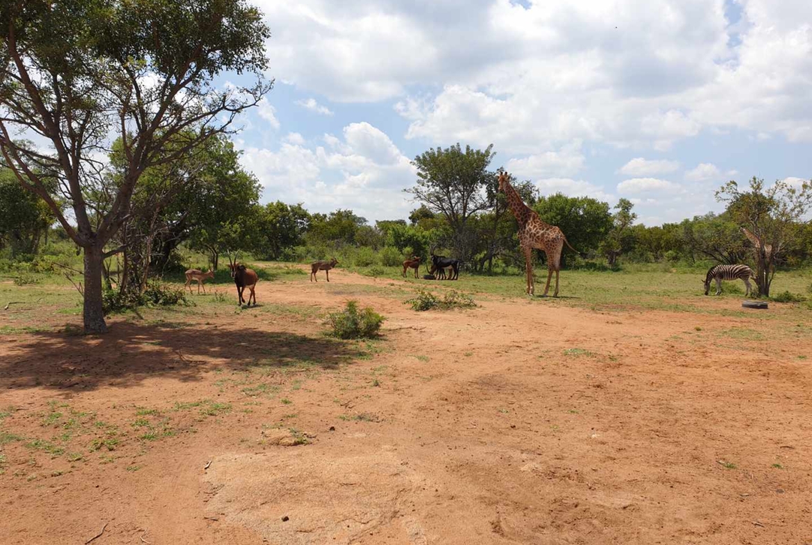 Sterling Bush Lodge