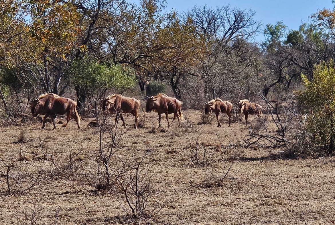 Sterling Bush Lodge