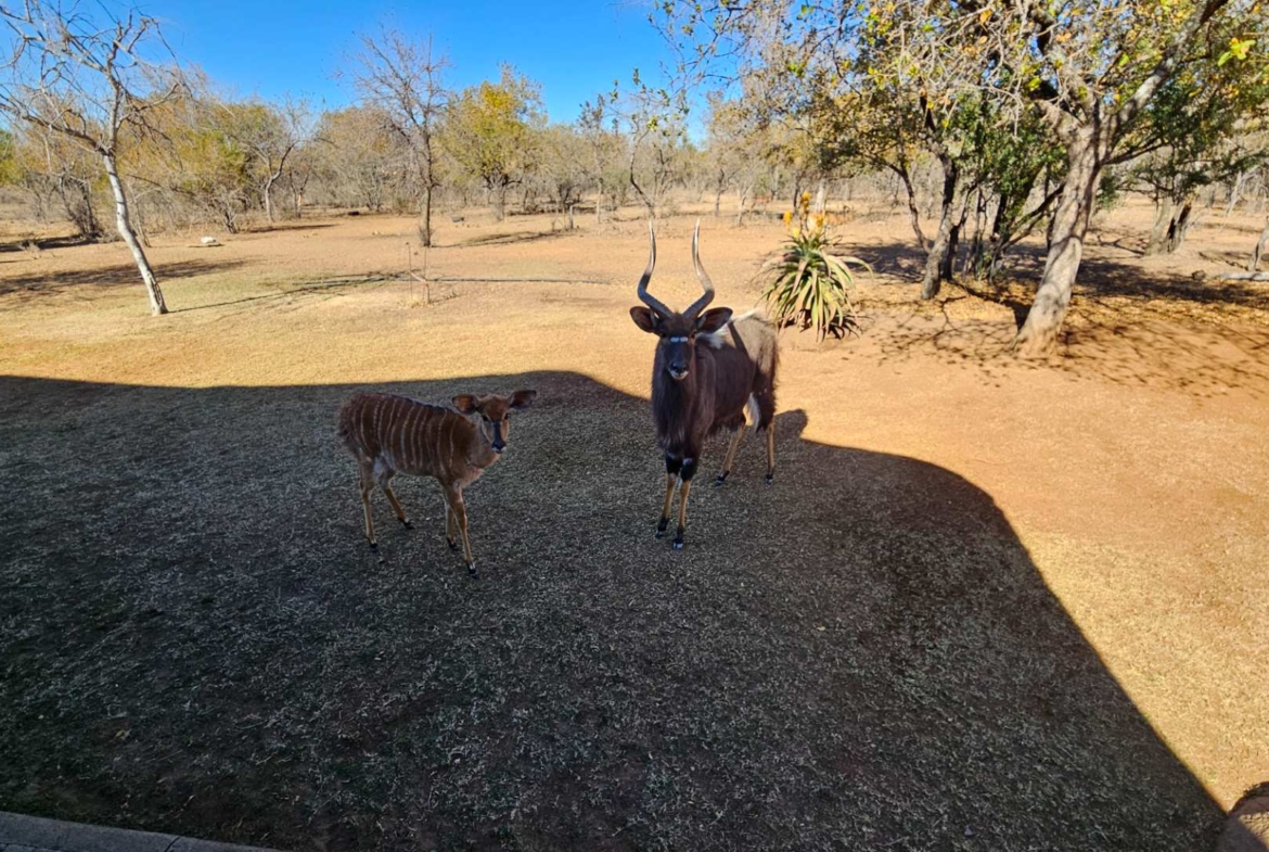 Sterling Bush Lodge