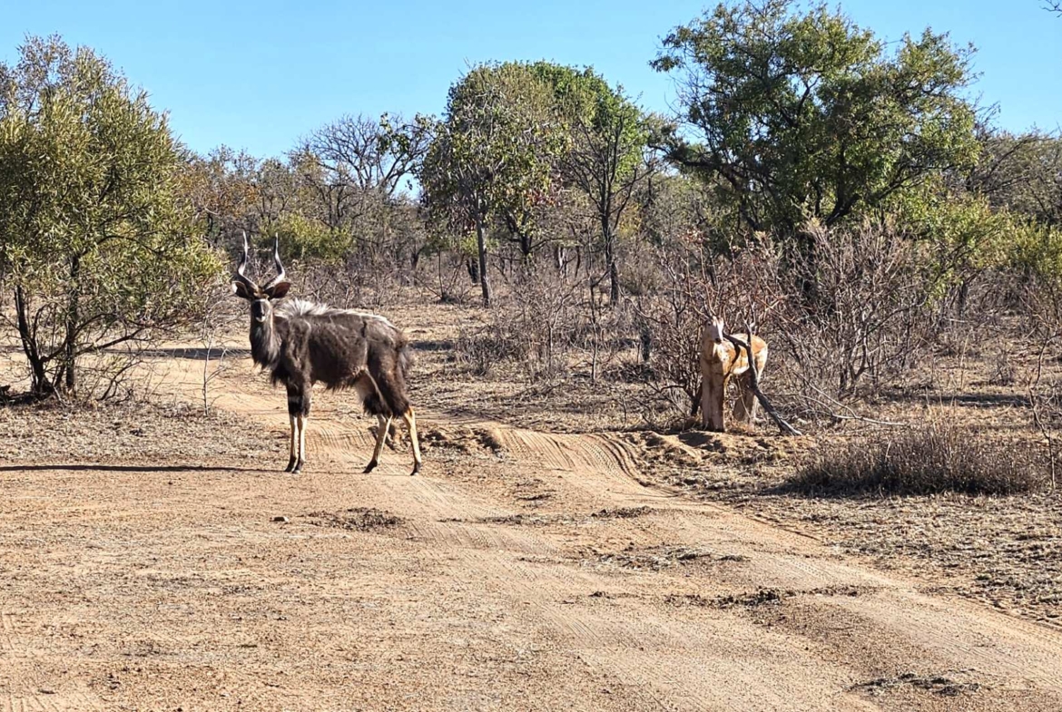 Sterling Bush Lodge