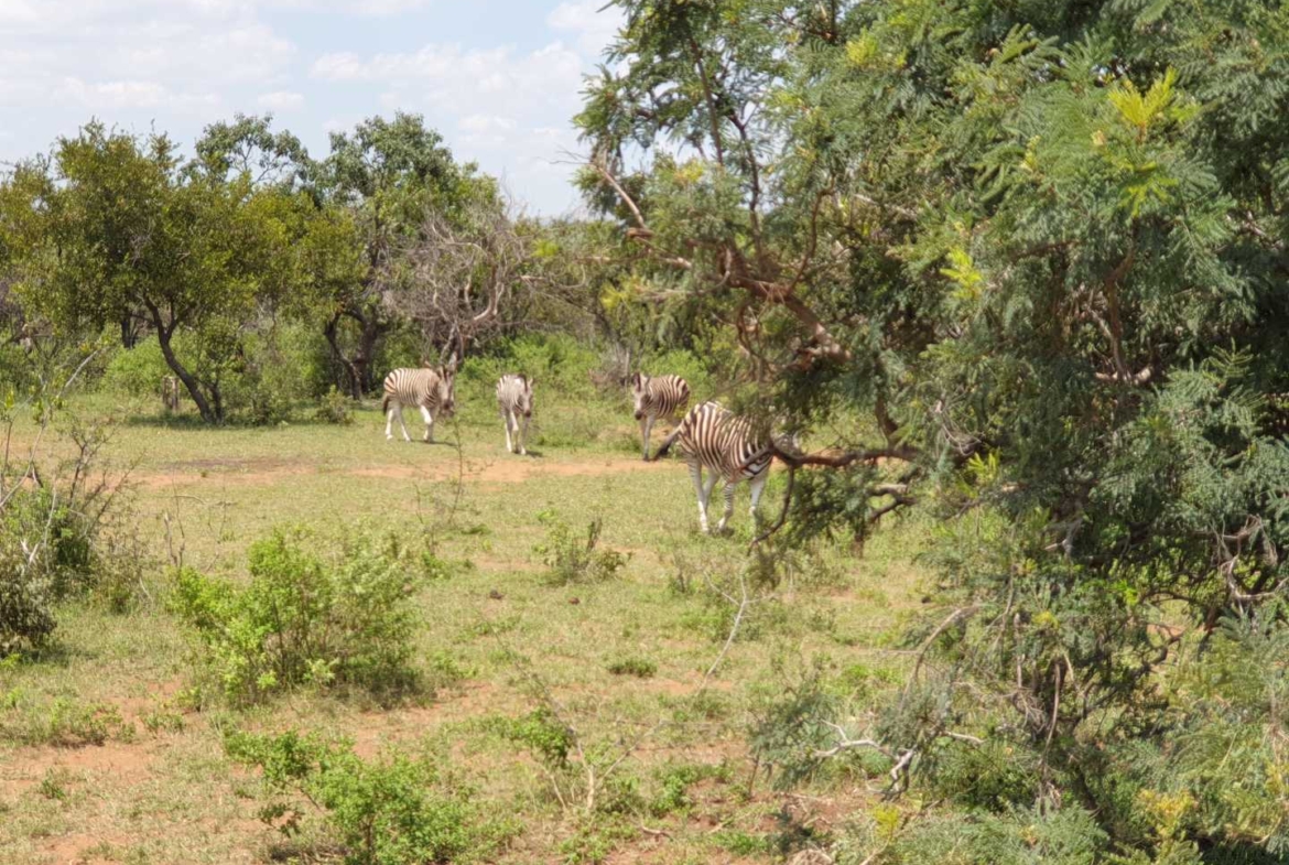 Sterling Bush Lodge