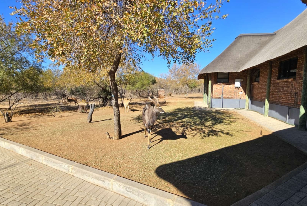 Sterling Bush Lodge