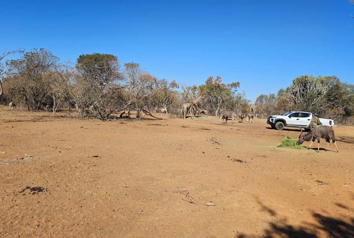 Sterling Bush Lodge