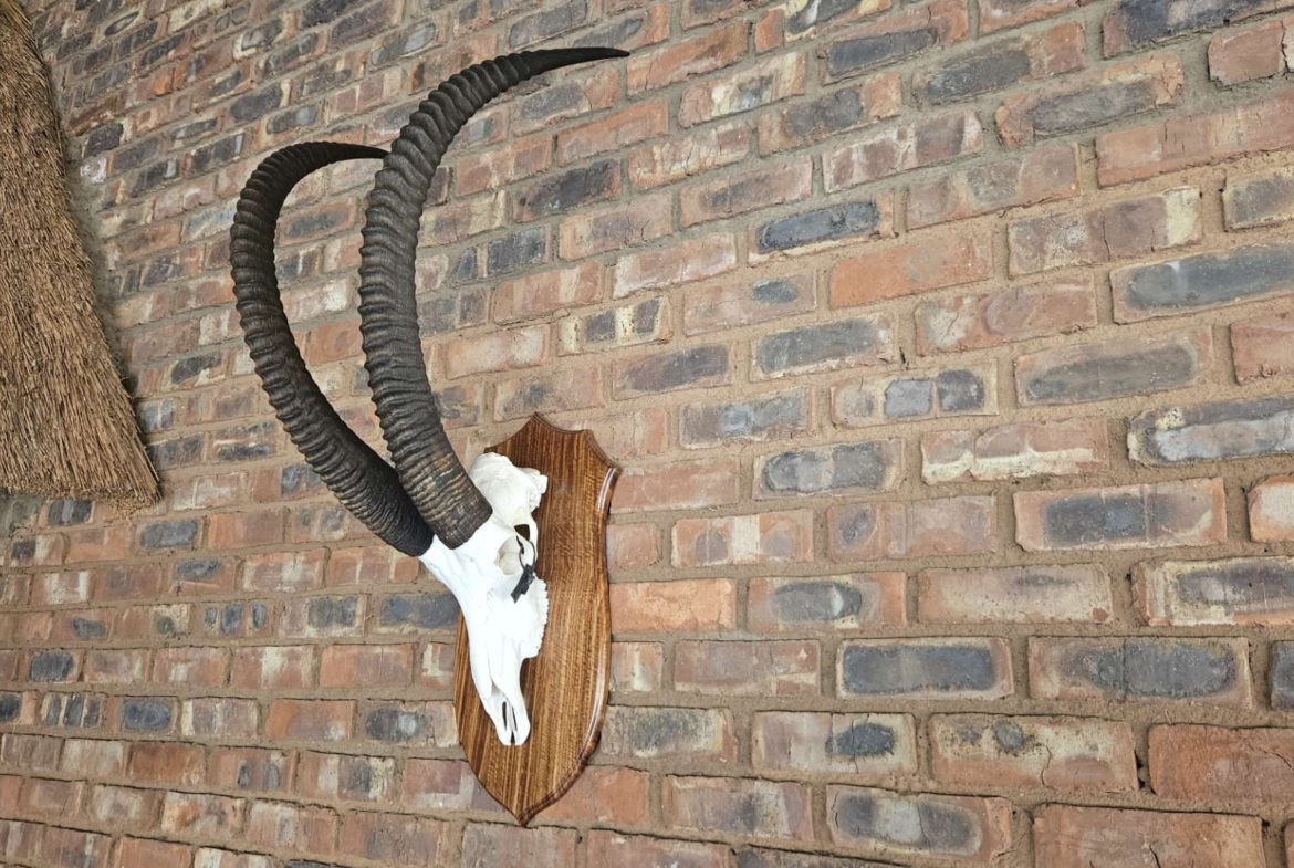 Sterling Bush Lodge