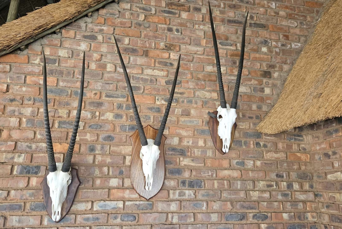 Sterling Bush Lodge